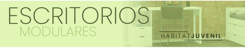 Escritorios Modulares
